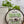 Load image into Gallery viewer, Italian Herb Bread Dipping Blend