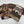 Cargar imagen en el visor de la galería, Emily Wristlet Cowhide Pouch
