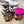 Cargar imagen en el visor de la galería, MINI COWHIDE ROUND JEWELRY BOX Western travel storage gifts