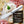 Cargar imagen en el visor de la galería, Silver Party Spreader