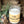 Load image into Gallery viewer, Natural Beef Tallow & Soy Hand Poured Candles