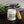 Load image into Gallery viewer, Purple Ribbon Whipped Tallow Balm jar with lavender flowers in the background