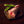 Load image into Gallery viewer, Dog Bones