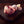 Load image into Gallery viewer, Dog Bones