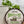 Cargar imagen en el visor de la galería, Burger and Fry Seasoning