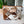 Cargar imagen en el visor de la galería, BOHO LUXE MAKEUP bag Genuine Hair On travel