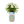 Cargar imagen en el visor de la galería, Soda Can Flower Grow Kit | Lavender Daisy Pansy | Garden Set
