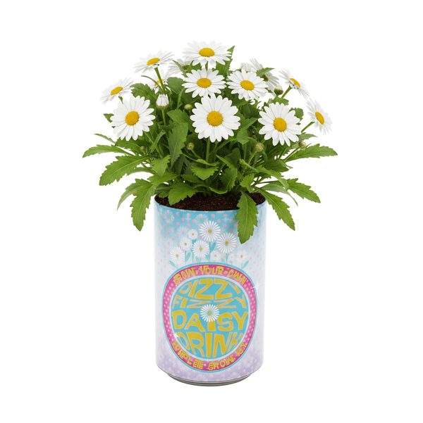 Soda Can Flower Grow Kit | Lavender Daisy Pansy | Garden Set