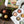Cargar imagen en el visor de la galería, “A Gift for You” Wildflower Egg Carton | 6 Seed Balls
