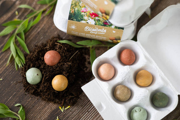 “A Gift for You” Wildflower Egg Carton | 6 Seed Balls