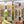 Cargar imagen en el visor de la galería, All Natural Beef Tallow Sunflower Lip Balmb
