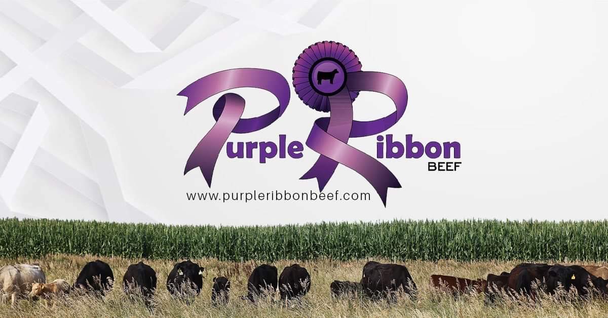 Purple Ribbon Beef – Purple Ribbon Beef