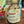 Load image into Gallery viewer, Celebration, Mocktail Infusion Kit
