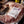 Load image into Gallery viewer, Grand Iowa Feast Gift Box
