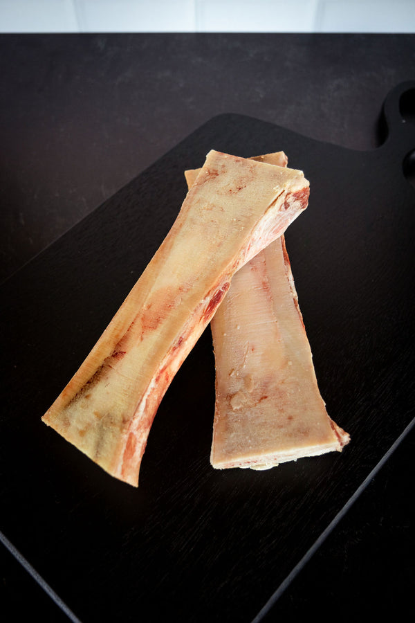 Femur Bones