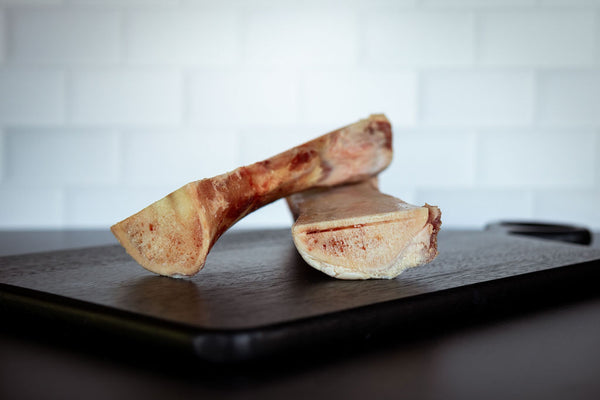 Femur Bones