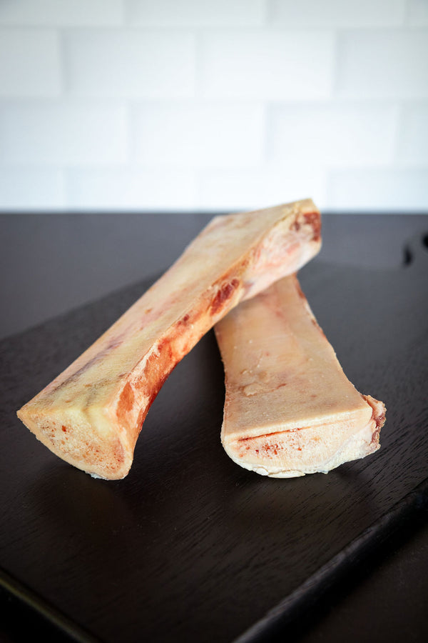 Femur Bones