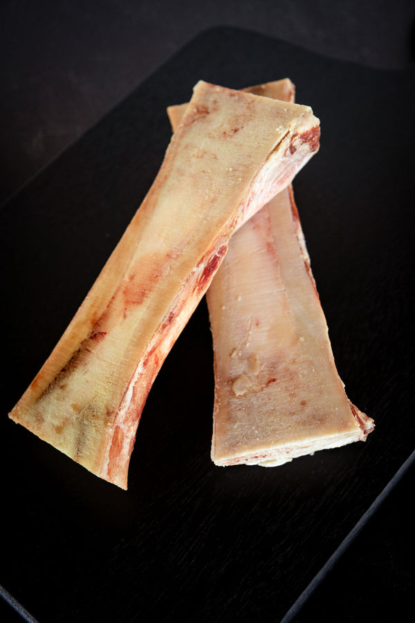 Femur Bones