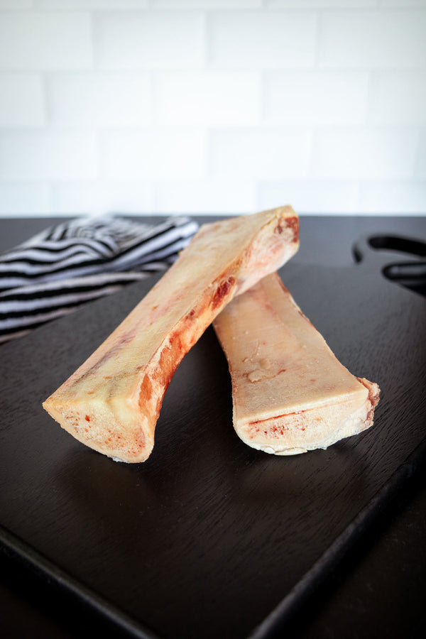 Femur Bones