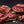 Load image into Gallery viewer, Purple Ribbon Beef Smokin' Beef Bundle featuring 14-day dry-aged Iowa brisket, beef ribs, sirloin tip roast, skirt steak, and ground beef.
