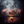 Load image into Gallery viewer, Three pieces of raw beef short ribs meat on a grill with smoke and flames below.
