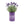 Cargar imagen en el visor de la galería, Soda Can Flower Grow Kit | Lavender Daisy Pansy | Garden Set
