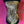 Cargar imagen en el visor de la galería, Liberty Leopard Wild Rag/ Scarf
