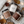 Load image into Gallery viewer, Twilight Grove Fall Candle | Beeswax + Tallow | 9 oz
