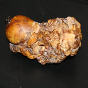 smoked dog bone 